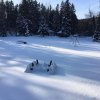 017. Campul Romanesc - Iarna - 12.2017